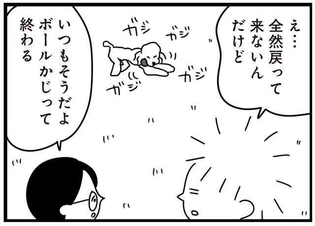 ボールに木、紙。かじるのが大好きな愛犬に「ダメ」と注意すると／おはよう、サンテ（11）