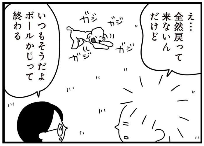 ボールに木、紙。かじるのが大好きな愛犬に「ダメ」と注意すると／おはよう、サンテ（11）