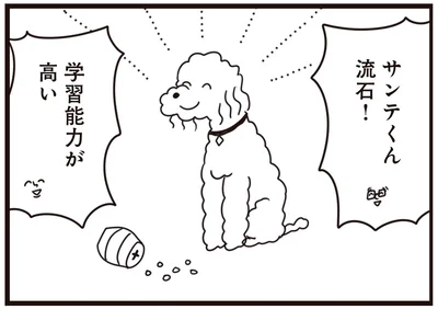 学習能力が高い！