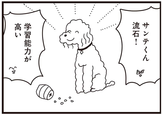 「学習能力が高い！」使い方に工夫が必要なおもちゃを愛犬が見事クリア／おはよう、サンテ（13）
