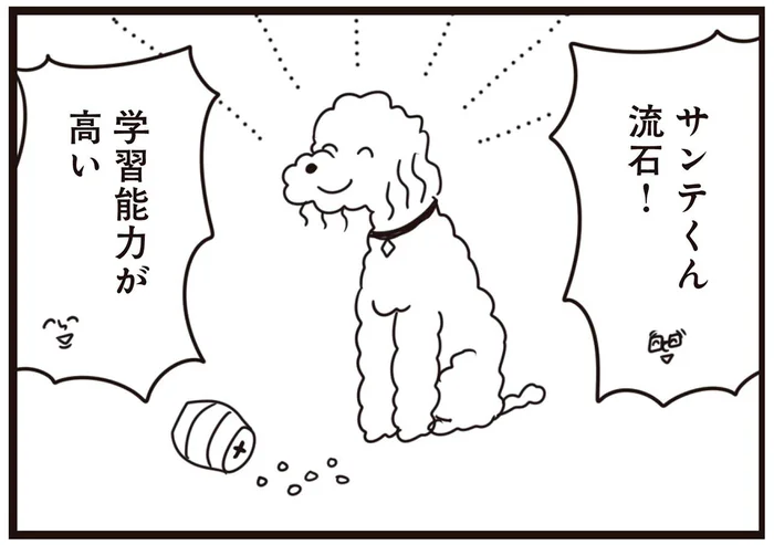 「学習能力が高い！」使い方に工夫が必要なおもちゃを愛犬が見事クリア／おはよう、サンテ（13）