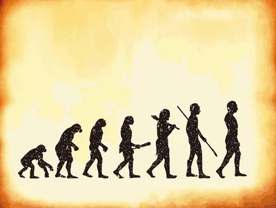 「ホモサピエンス」は船に乗って日本に来た⁉