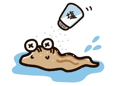  気になる！ナメクジに塩ではなく砂糖をかけると…？