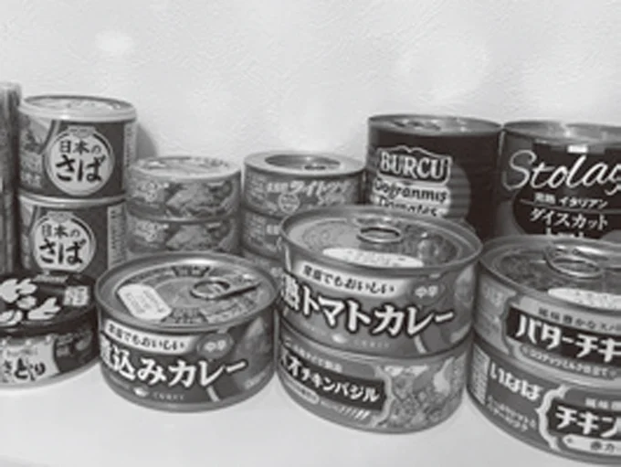 食品：主食系のほかに、サバ缶やツナ缶、フルーツ缶などの缶詰、離乳食など