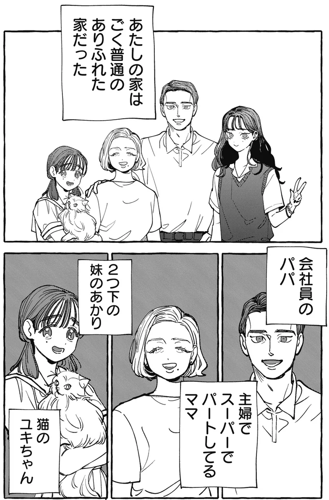 ありふれた家だった
