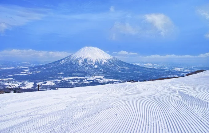 日本に住むなら「北海道」がいいそう。「毎日スノボをして過ごしたい」とD-LITE