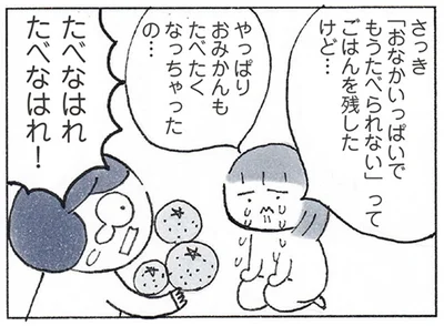 『おかあさんの旅路　乳がんになっても、未来へつなげたい…おかあさんの記録』より