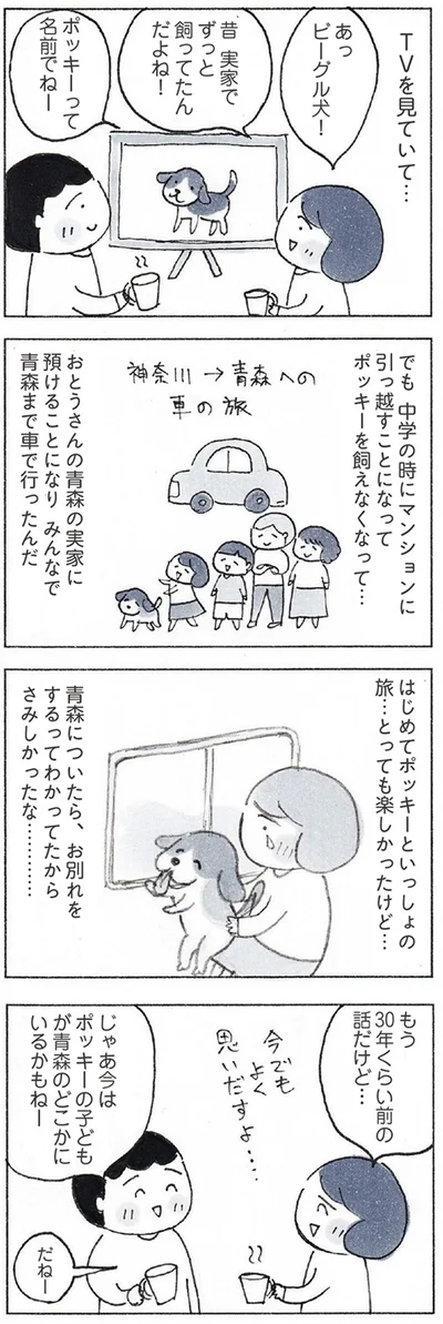 『おかあさんの旅路　乳がんになっても、未来へつなげたい…おかあさんの記録』より