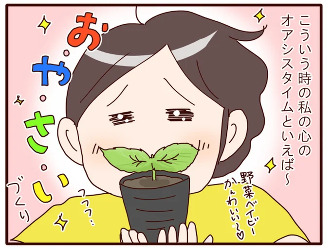 心のオアシスタイム