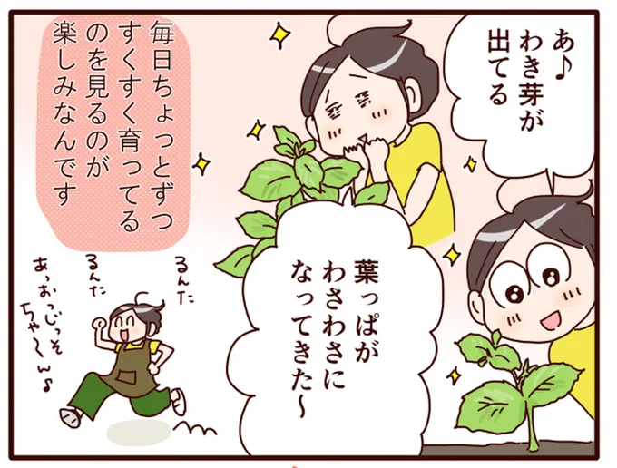 ちょっとずつすくすく育ってるのを見るのが楽しみなんです