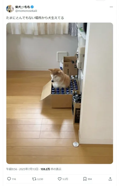 たまにとんでもない場所から生えてる…▶なんともいえない表情（⇒次へ）