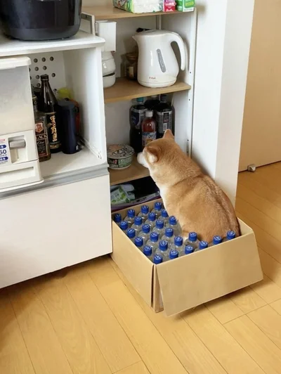 暇すぎてカップ麵と雑談するももちゃん▶虚無…（⇒次へ）