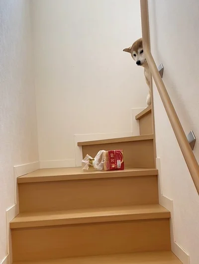 静かに食パンを二階部屋に運びたかったのにバレ…た…▶ピンポンに出ると（⇒次へ）