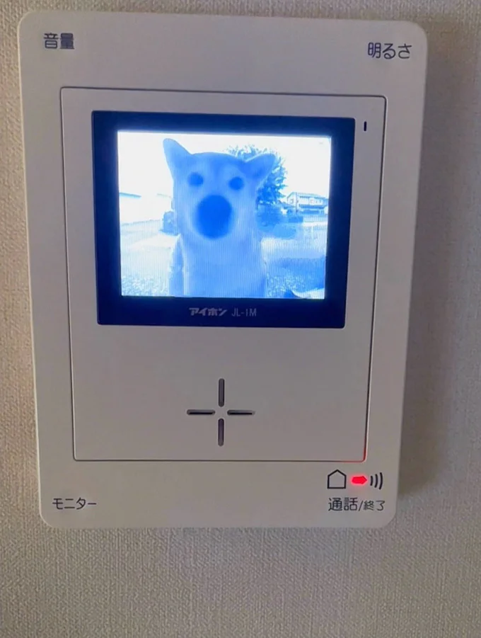 忘れ物の水を取りに戻ってきたももちゃん▶返してください…（⇒次へ）