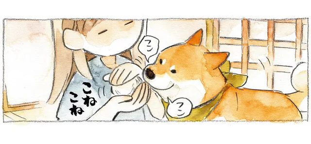 換毛期に集めた毛を毛玉に。しかし柴犬は気に入らなかったようで？