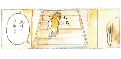 助け…いる？