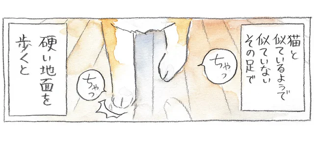 心地よいパーカッションで柴犬の位置を検知。でもすれ違いが発生して？