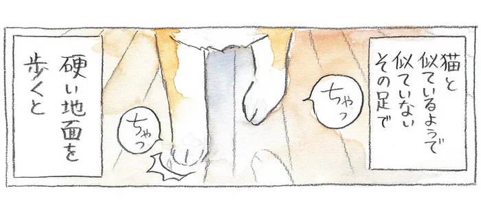 心地よいパーカッションで柴犬の位置を検知。でもすれ違いが発生して？／柴犬ぽんちゃん、今日もわが道を行く（4）