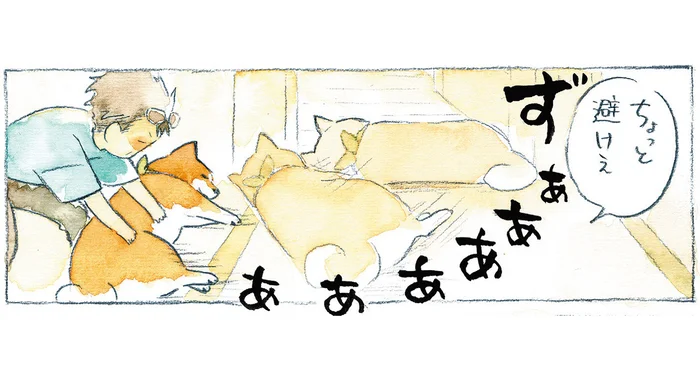 「ちょっと避けえ」柴犬による通せんぼ、飼い主は全然動じていません!?／柴犬ぽんちゃん、今日もわが道を行く（6）