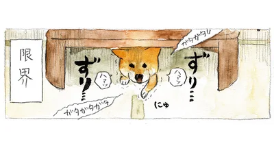 限界を迎えた…