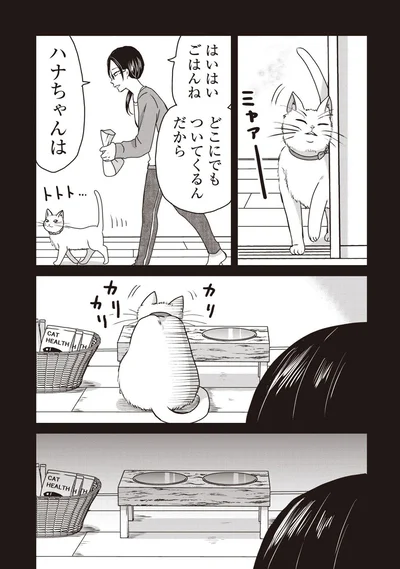 『木暮姉弟のとむらい喫茶』より