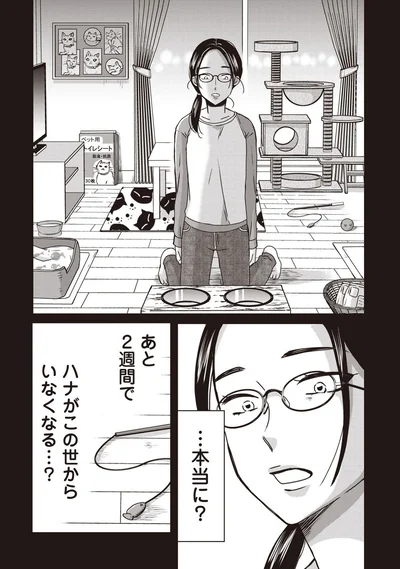 『木暮姉弟のとむらい喫茶』より