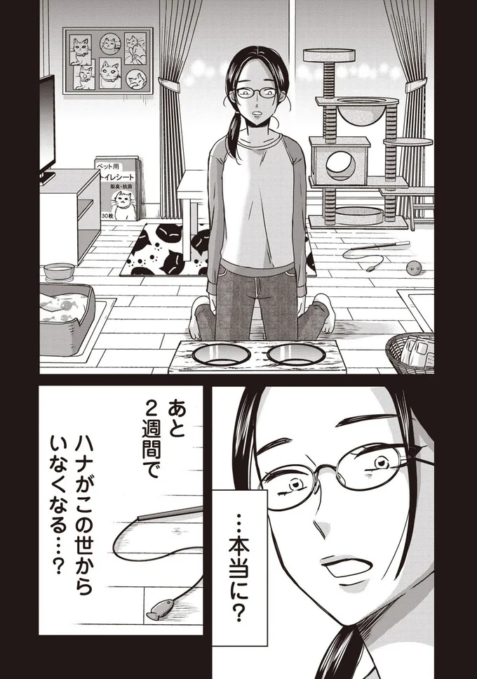 『木暮姉弟のとむらい喫茶』より