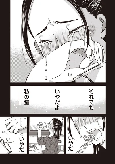 『木暮姉弟のとむらい喫茶』より