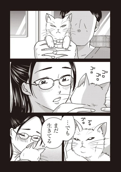 『木暮姉弟のとむらい喫茶』より