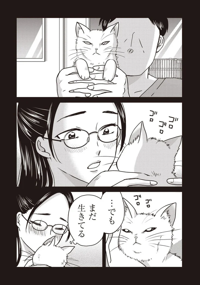 『木暮姉弟のとむらい喫茶』より