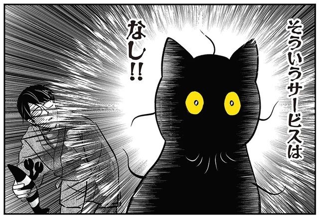 いかなるときも閉じないのに急にスヤァ。愛猫の堅牢なまぶたの話