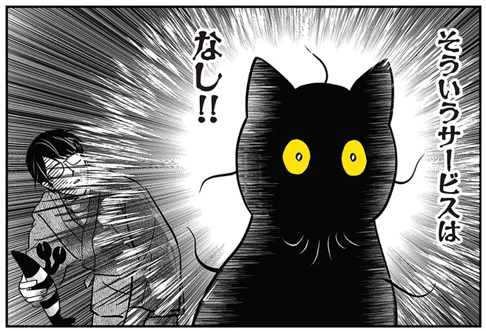 いかなるときも閉じないのに急にスヤァ。愛猫の堅牢なまぶたの話