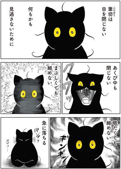 筆坊は目を閉じない