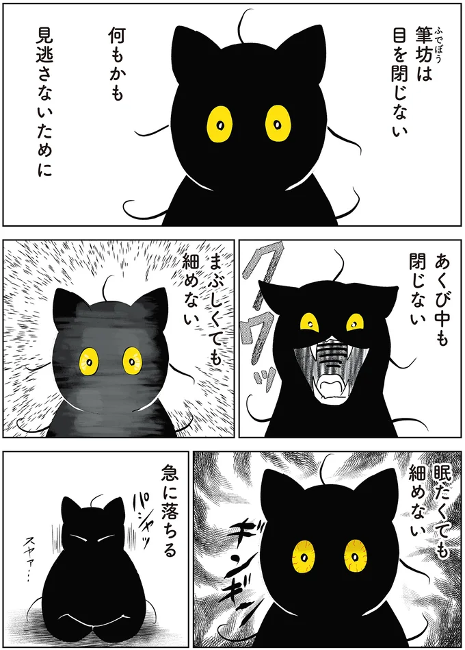 筆坊は目を閉じない