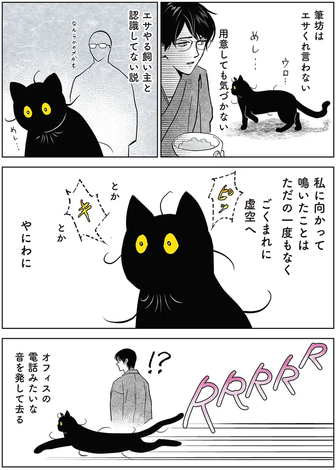 筆坊はエサくれ言わない