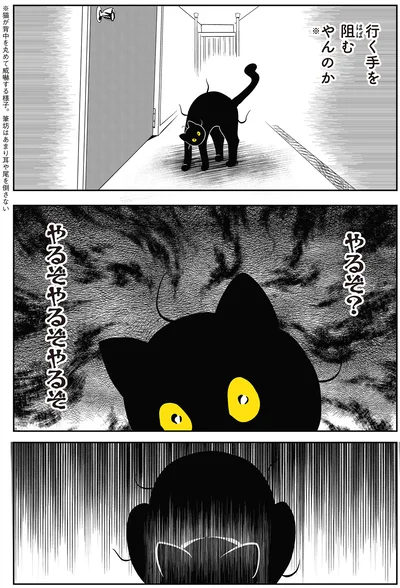 『筆坊日記』より