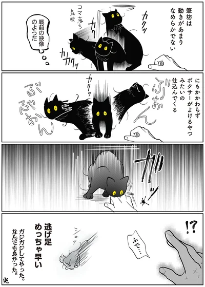 『筆坊日記』より