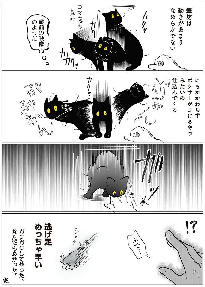『筆坊日記』より