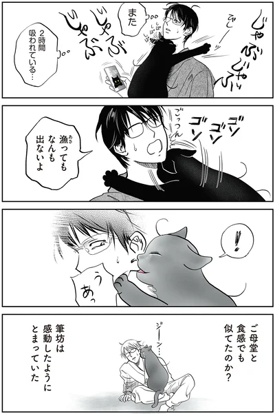 『筆坊日記』より