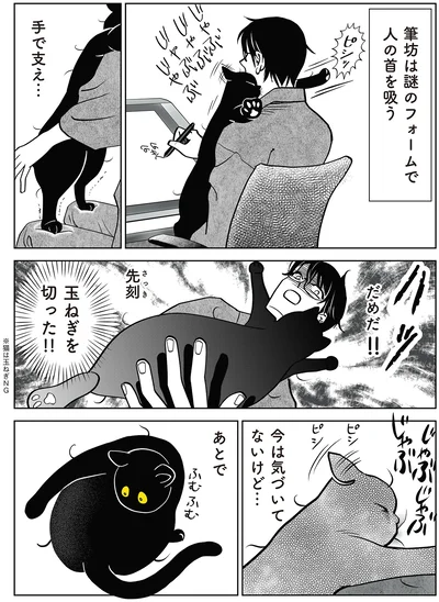 『筆坊日記』より