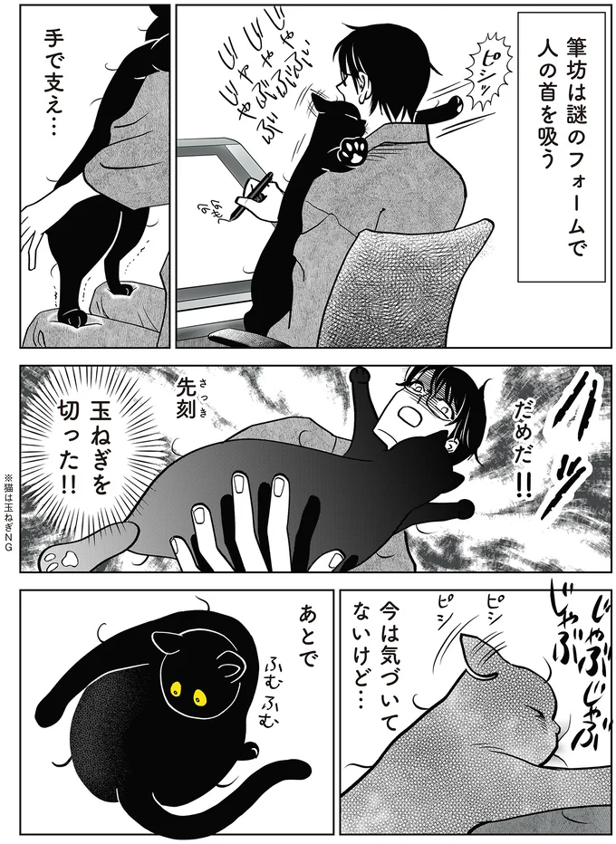 『筆坊日記』より