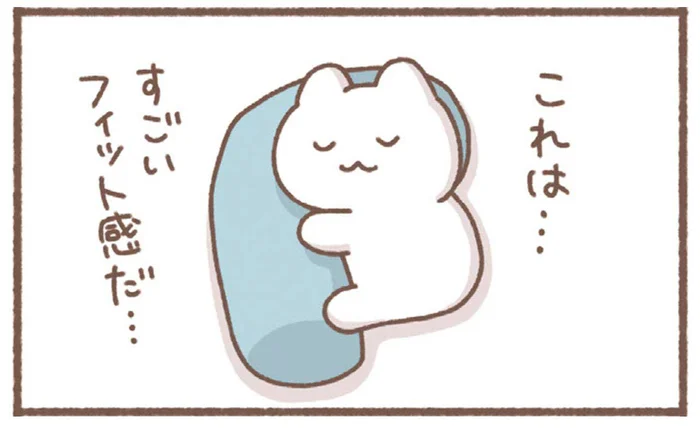この抱き枕、すごいフィット感！朝まで離さないつもりが？／毎日がんばっていきる、えらい（8）