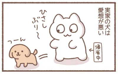 実家の犬は愛想が悪い