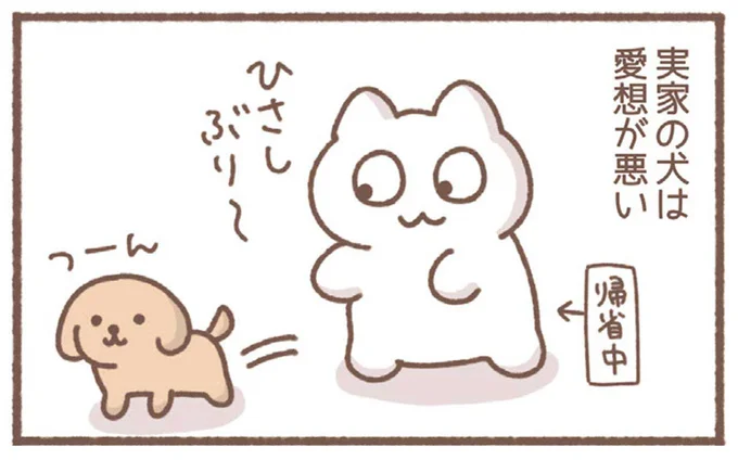 実家の犬は愛想が悪い