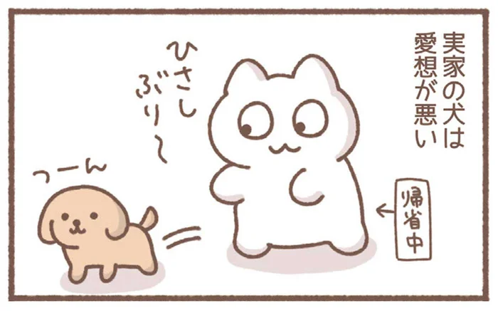 愛想がない実家の犬と、帰省して久しぶりに会ってみると？／毎日がんばっていきる、えらい（18）