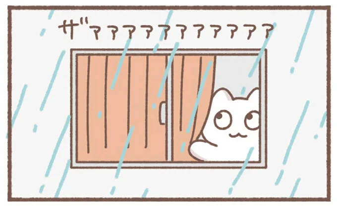 ザァァァァァァァァァァァ