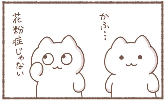 花粉症じゃない