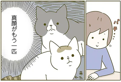 真顔がもう一匹