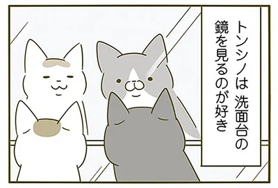 鏡を見るのが好き…？