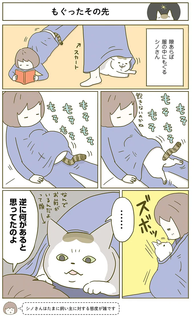もぐったその先